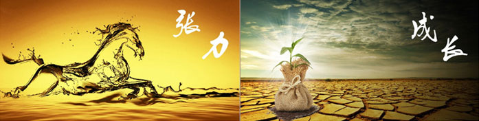 企業(yè)發(fā)展要學會取他人之長、補自己之短